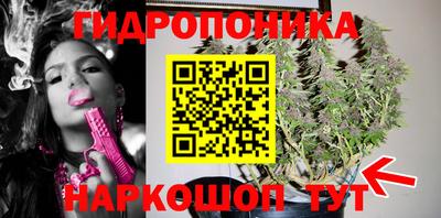 молекула духа Гагарин