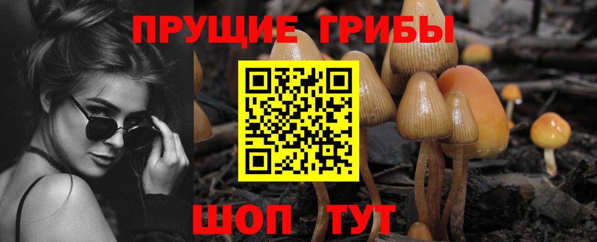 Галлюциногенные грибы GOLDEN TEACHER Биробиджан