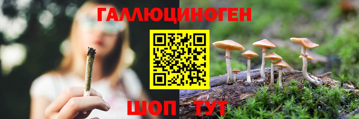 Галлюциногенные грибы Psilocybe  Вход с VPN  купить   Биробиджан 